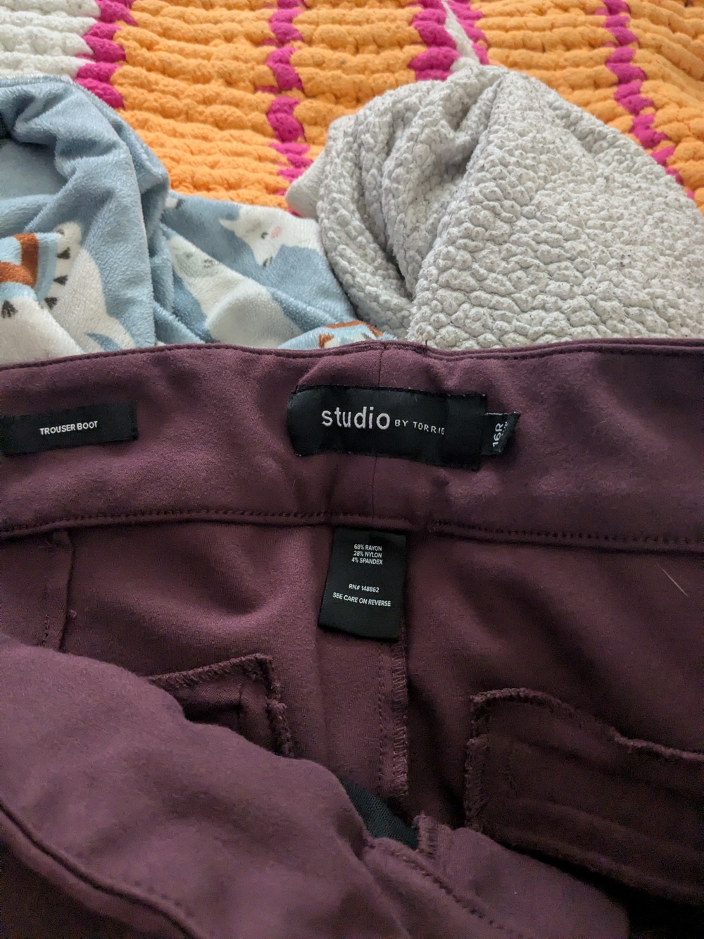 torrid Studio Trouser Boot Pants in Plum